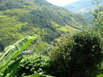 IMG_4578
