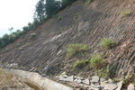 引水道右旁山坡
IMG_0102
