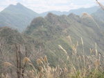 見到有不登頂的隊友沿小路落山去
IMG_0451