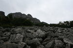 IMG_0469