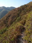 山腰路頗窄且在懸崖邊, 小心行
PC020259