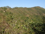 雞公山頂在望(最右邊)
PC090162