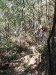 行剛才下山的林中小路上番山
PC090177
