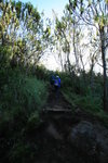 Machame Hut 往 Shira Camp途中, 初段穿林後沿山脊上行至坳後轉左往Shira Plateau方向去
Kili0112