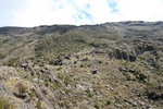 在山坳己見有登山者往左邊落山路去
Kili0195
