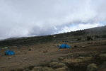 Shira 營地
Kili0237