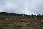 Shira 營地
Kili0245