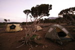 Shira 營地
Kili0251