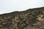 Kili0485