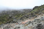 Kili0502