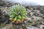 Kili0505