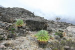 Kili0506