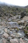 往Barranco Camp 途中
Kili0508