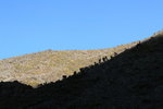 Kili0569