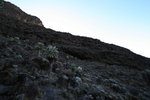 Kili0585