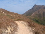 蚺蛇坳就在蚺蛇尖左邊的山坳位
P1290161