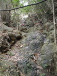 上溯鶴環坑, 真係有無盡的陡企的石坡
P1290297
