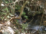 下降井頭坑, 一條小坑竟然沿途都有些小瀑小潭
P2050192