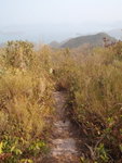 下山路徑清晰
P2100079