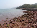 P2100103