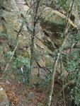 樹帶棧道上山
P2190127