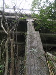 到橋底
P2190139