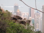 烏龜石 ?
P2190153