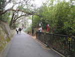 在分岔路前轉入右邊小路
P2190155