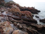 紅粉海岸綑邊
P2260322