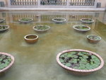 P3010153