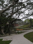 蓮池寺往昂平途中
P3010154