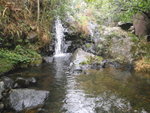 上溯坳背灣坑
P3080041