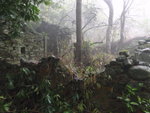 坳背灣廢村 ?
P3080047