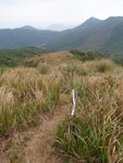 前望飛鵝山(右)
P4070372