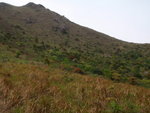 回望水牛山
P4070373