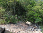 P5030062