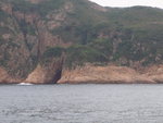 金鐘岩 (金魚擺尾)
P6210008