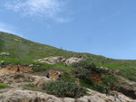 P6230052