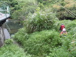跨水壩上鐵欄後沿小路落澗
P7020040