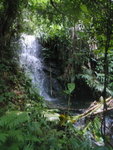 經雞公坑澗口, 續山路出梧桐寨村口下午茶
PA010202