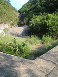 左可見水壩及其後的秋楓石澗中的一線瀑. 地上有箭咀指示落澗
PA130295