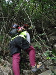 又回林中上溯孖崗山北崗南坑
PB170299