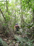 上溯孖崗山北崗南坑
PB170305