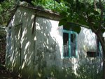 DSC03631