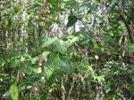 DSC03634