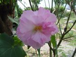 DSC03637
