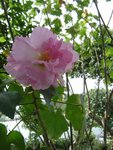 DSC03638