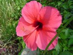 DSC03640