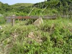 DSC03649