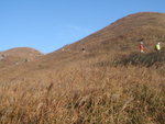 大東北脊落山, 仍見大東山頂的標高柱(相左)
PB240411